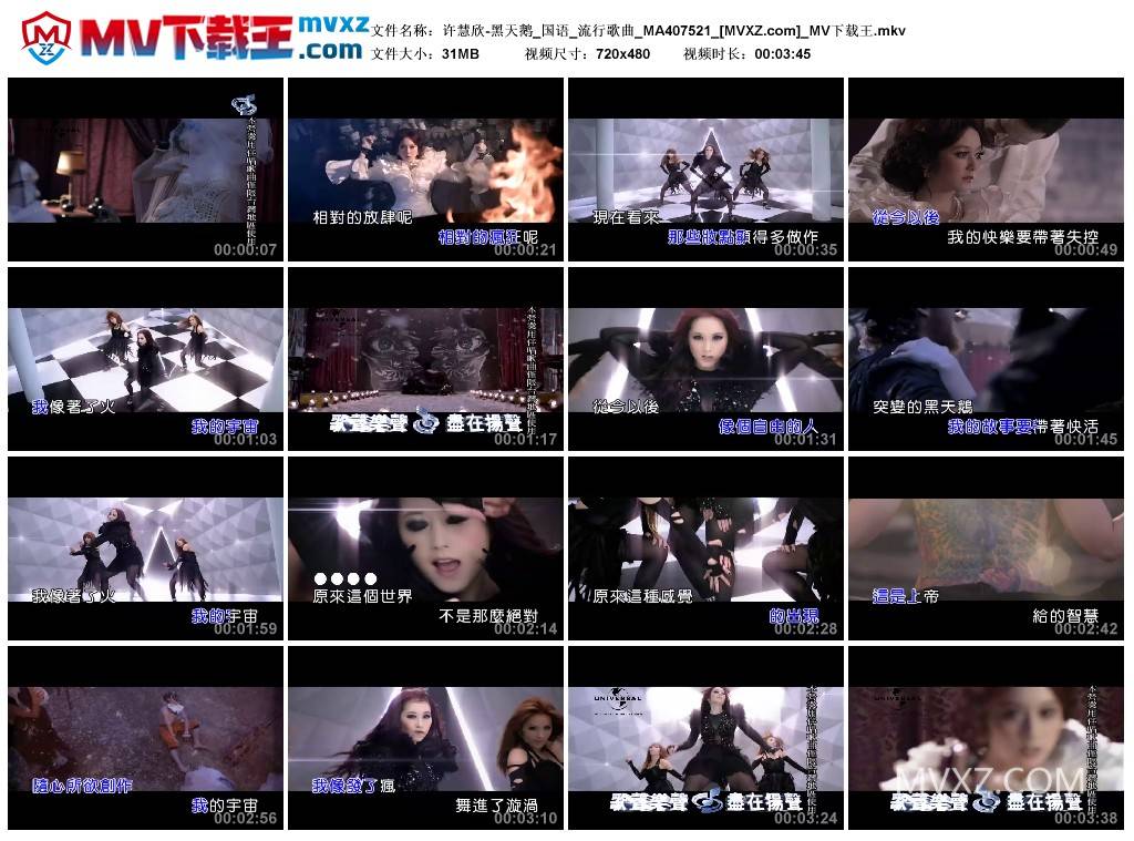 许慧欣-黑天鹅_国语_流行歌曲_MA407521
